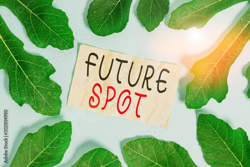 Conceptual hand writing showing Futuro Spot. Concept meaning refers to an action that will take place in the future Leaves surrounding notepaper above empty soft pastel table