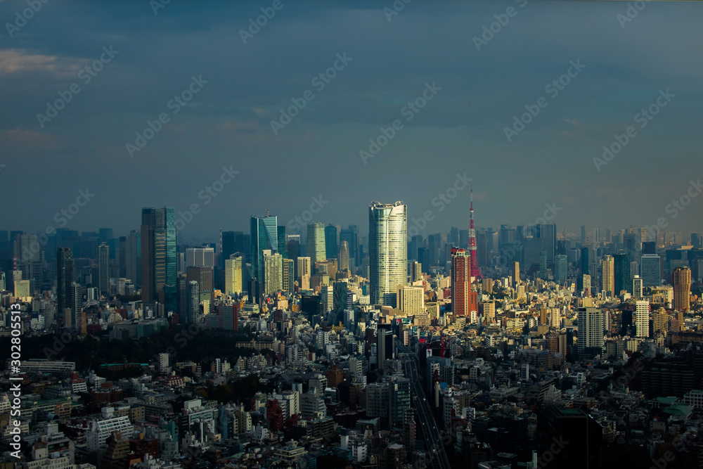 日本 東京 高層ビルのある風景　typical sight of Tokyo, Japan