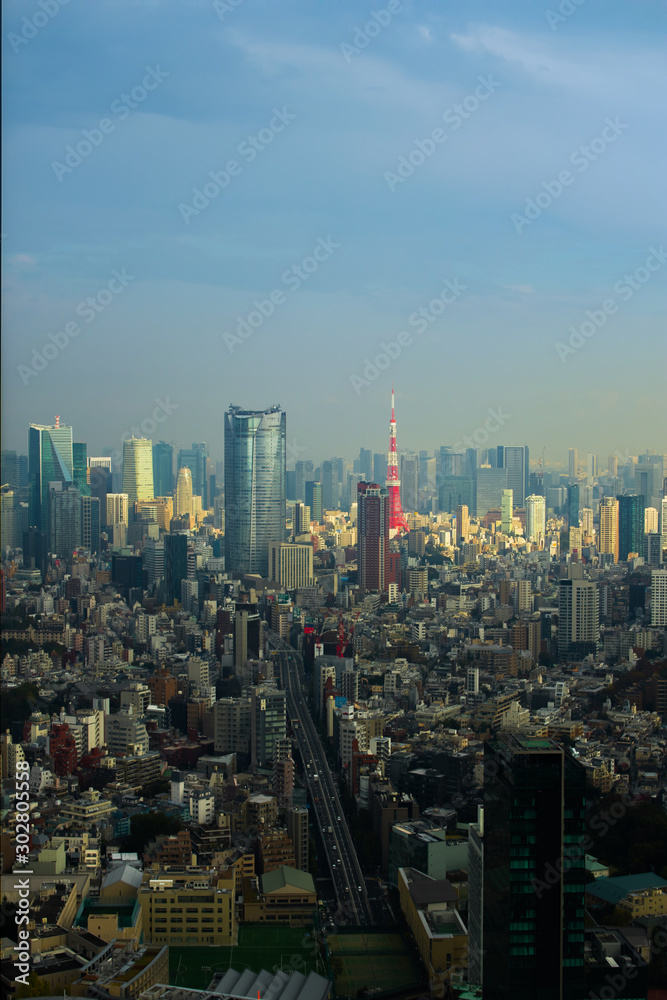 日本 東京 高層ビルのある風景　typical sight of Tokyo, Japan