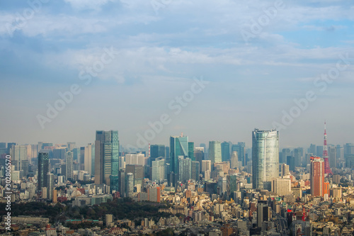 日本 東京 高層ビルのある風景　typical sight of Tokyo, Japan © norikko