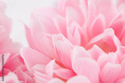 Beautiful pink flowers made with color filters, soft color and blur style for background
