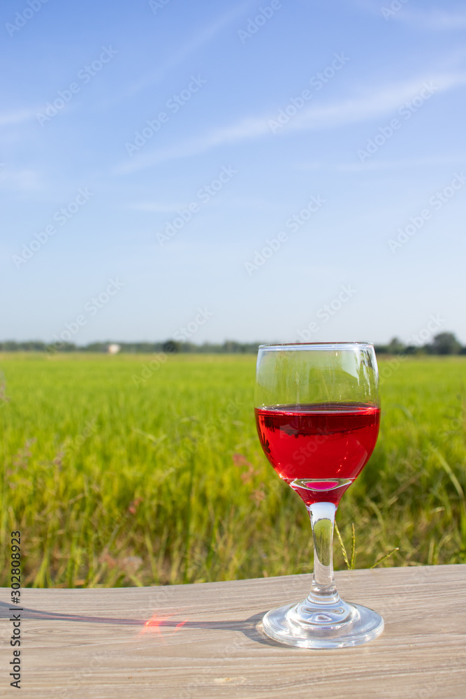 glass with red wine in rice field garden
