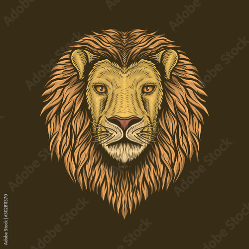 Fototapeta Naklejka Na Ścianę i Meble -  Handdrawn vintage lion head vector illustration