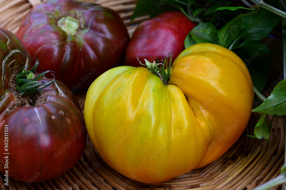 Heirlooms Tomatoes Heirlooms Tomatoes