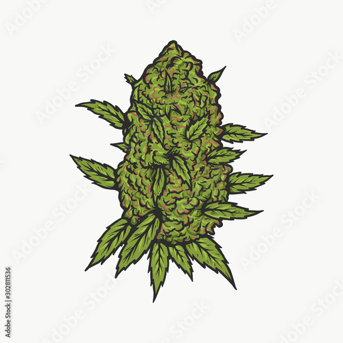 Handdrawn vintage cannabis bud vector illustration