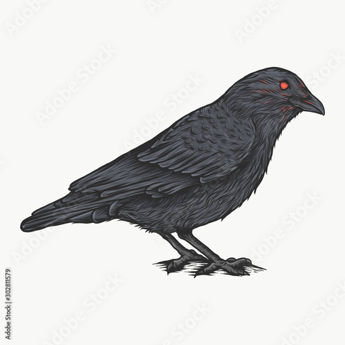 Handdrawn vintage crow vector illustration