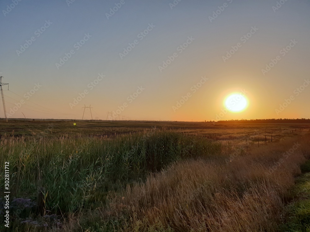 sunset over field