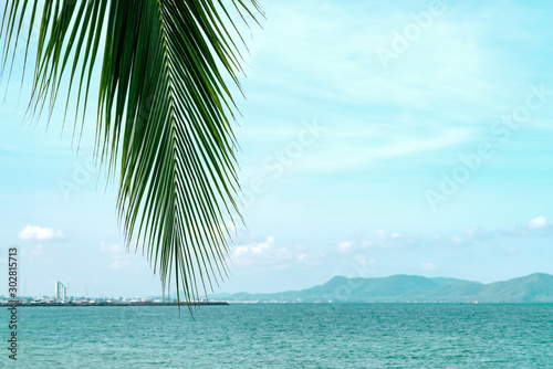 summer sea with leaves palm and copy space,sky relaxing concept,beautiful tropical background for travel landscape
