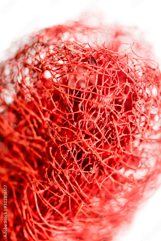 Naklejka premium Red flower strange tropical blossom fruit macro background fifty megapixels prints