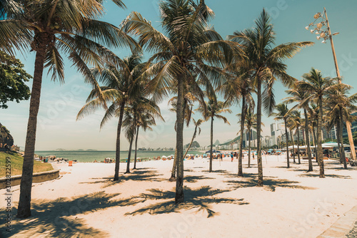 View through the palms on Copacabana Beach in Rio de Janeiro, Brazil. Sunny day with blue sky © marchello74