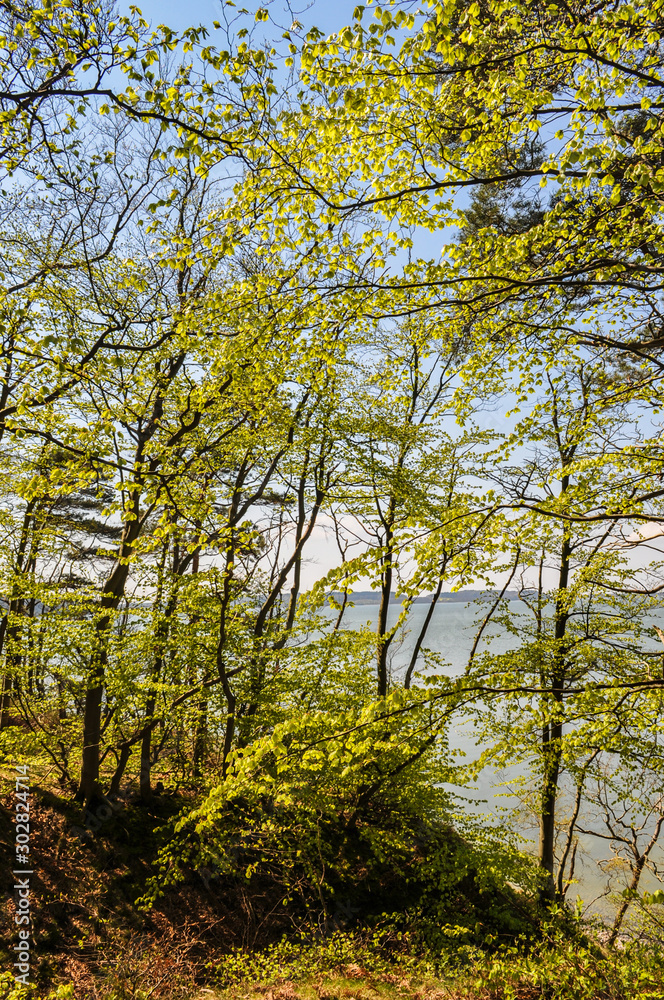 Großer Jasmunder Bodden, Lietzow, Insel Rügen Großer Jasmunder Bodden, Lietzow, Insel Rügen