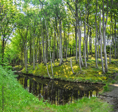 Gro  er Jasmunder Bodden  Lietzow  Insel R  gen