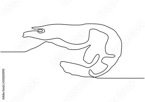 Shrimp one line drawing vec...