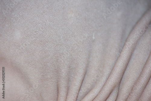 Obraz na płótnie Hairless skin of the Sphinx cat close up w salonie