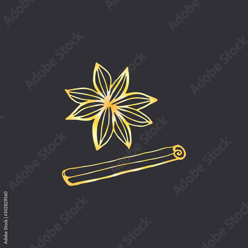 Star anise illustration hand draw vector. Winter spices.