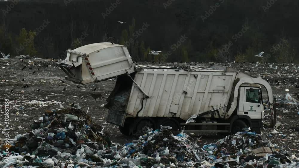 Garbage truck dumped garbage in a landfill. Environmental pollution pattern for design. Garbage truck dumped garbage in a landfill. Environmental pollution pattern for design.