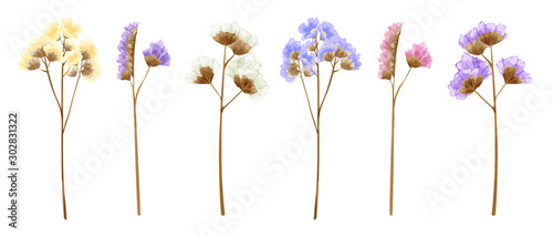 Watercolor isolated statice flowers in many sweet colors.