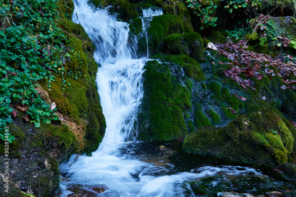 Clean mountain river in the autumn forest..Waterfall on a mountain river. Clean mountain river in the autumn forest..Waterfall on a mountain river.
