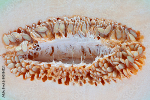 Closeup Seeds of Cantaloupe for background.