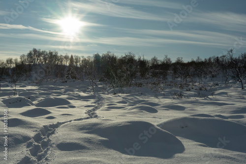 winter landscape in Norway