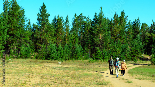 Three Yakuts go on the road to the spruce forest on a bright day in the North of Russia.