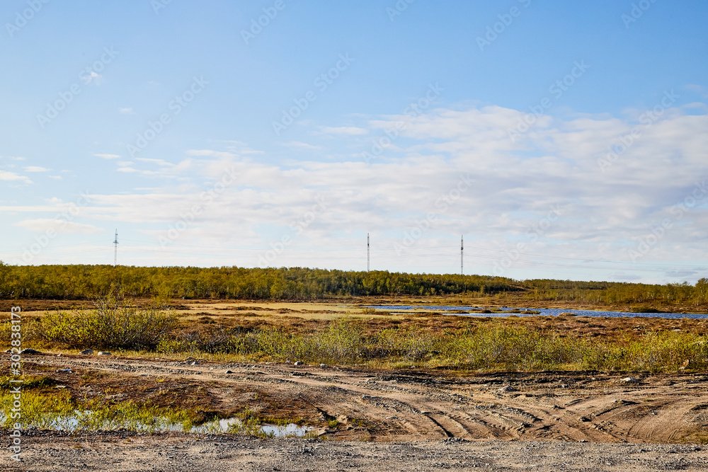 Tundra landscape with moss, glass and stouns in the north of Norway or Russia and blue sky with clouds