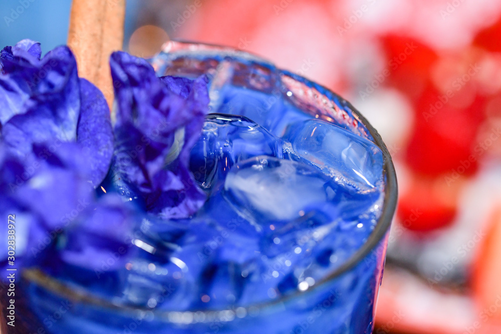 butterfly pee Stock Photo Adobe Stock