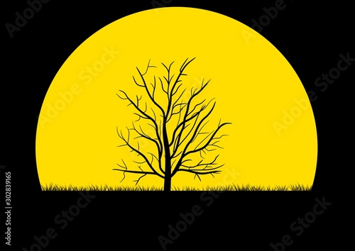 On the concept quietness and loneliness in the night time. Big tree silhouette on the large moon background. © Chaimongkol