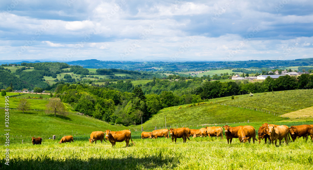 custom made wallpaper toronto digitalCampagne Aveyronnaise, Aveyron, Occitanie, France.