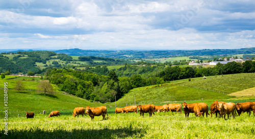 Wallpaper Mural Campagne Aveyronnaise, Aveyron, Occitanie, France. Torontodigital.ca