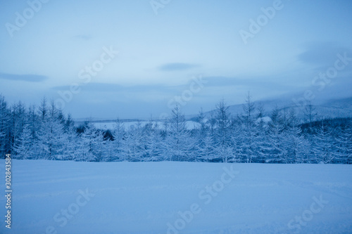雪景色 photo