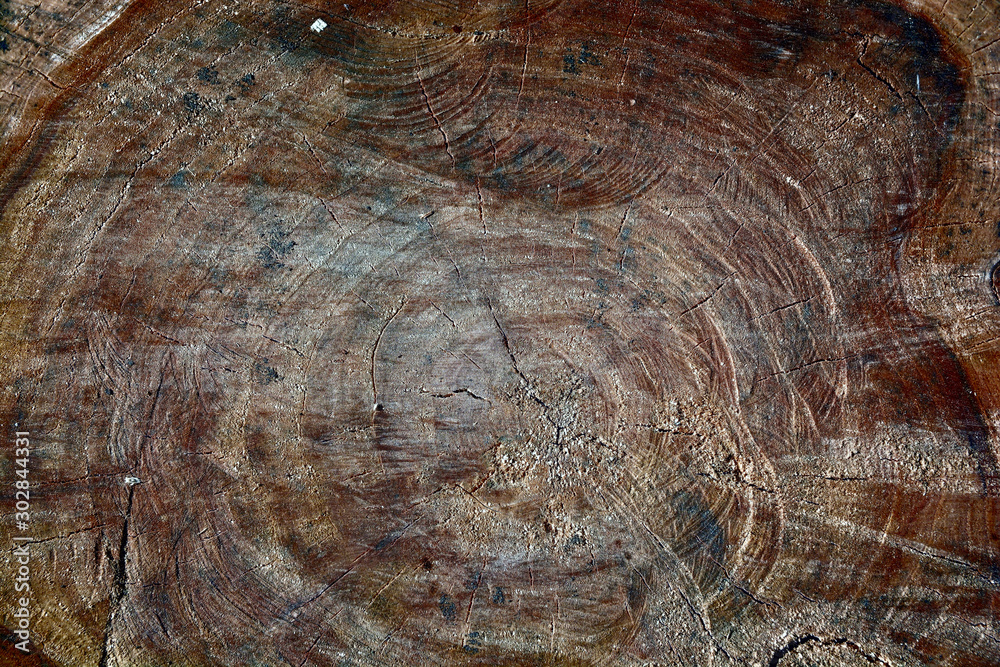 Abstract dark wood for backgrounds