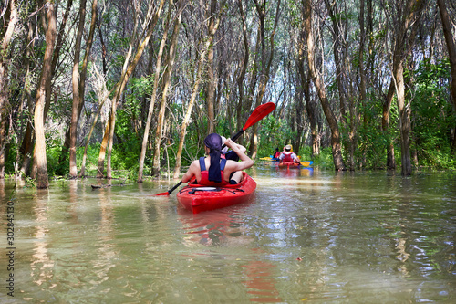 Group of friends kayaking in wilderness areas at Danube river among flooded trees in the forest at spring high water on Danube biosphere reserve.