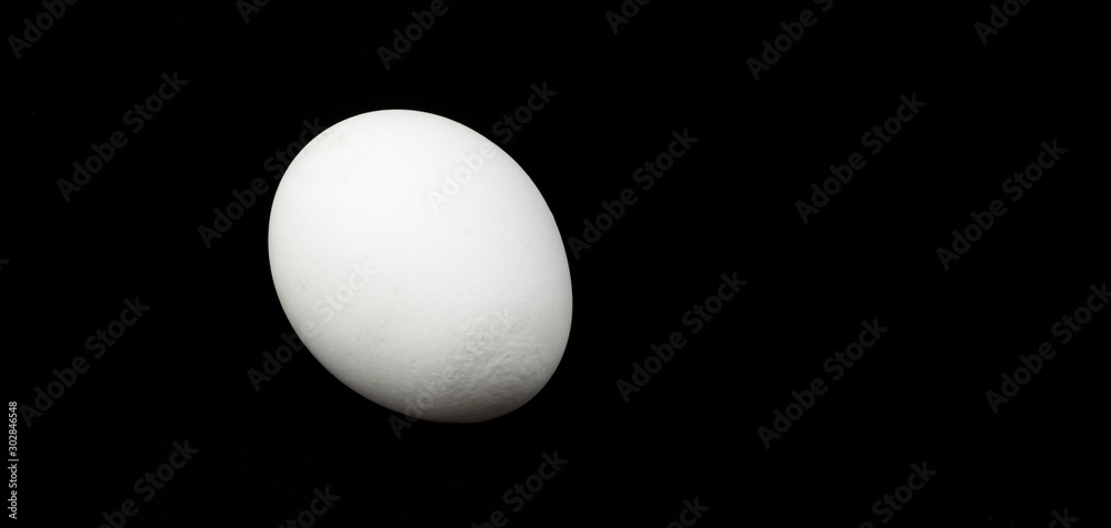 white egg isolated on black background with copy space white egg isolated on black background with copy space