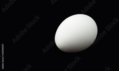 white egg isolated on black background with copy space