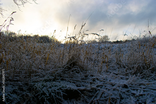 Frozen field in sunrise