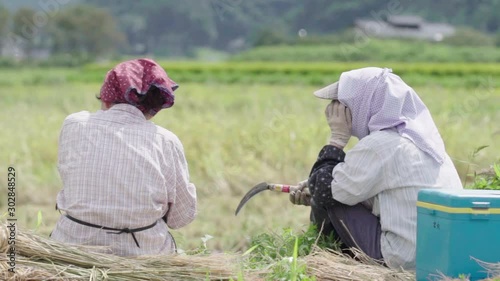 老人が農作業の合間に休憩をしながら話をする