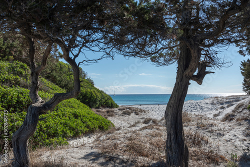 Sardinia island landscape in hot summer day.