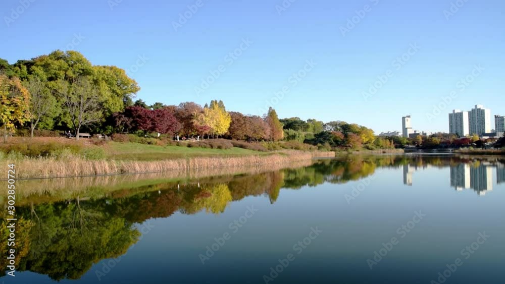 Autumn forest. Lake. Autumn Landscape. Real time. Olympic Park in Seoul, South Korea Autumn forest. Lake. Autumn Landscape. Real time. Olympic Park in Seoul, South Korea