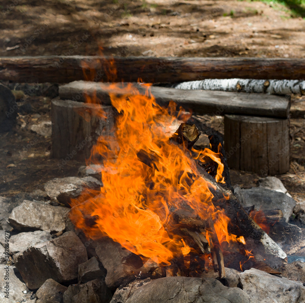 Beautiful view of a bonfire burning in bright fire in the forest near a makeshift bench of tree logs Beautiful view of a bonfire burning in bright fire in the forest near a makeshift bench of tree logs