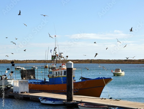 Canabas de Tavira -Algarve Portugal