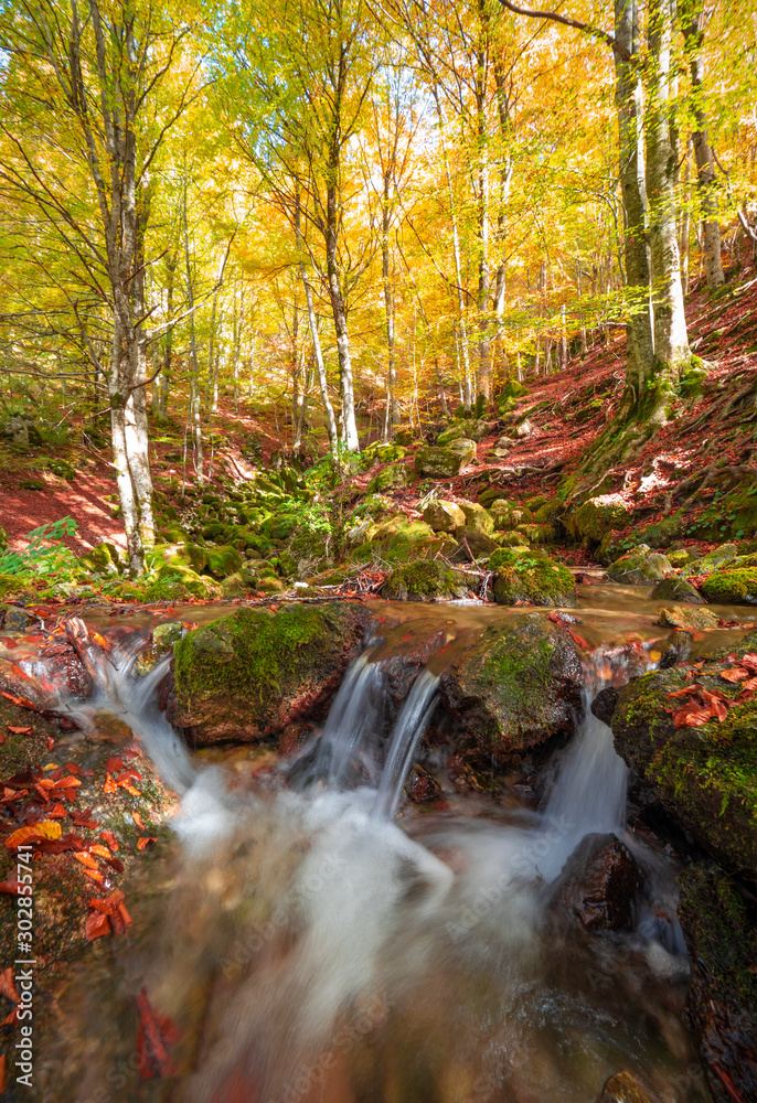 National Park of Abruzzo, Lazio and Molise (Italy) - The autumn with foliage in the italian mountain natural reserve, with little towns, wild animals like deer, Barrea Lake, Camosciara, Forca d'Acero