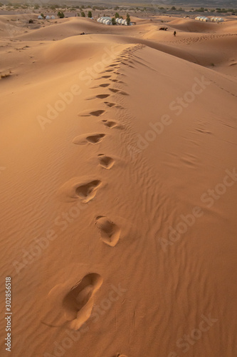 Footprints in the sahara desert sand. Morocco