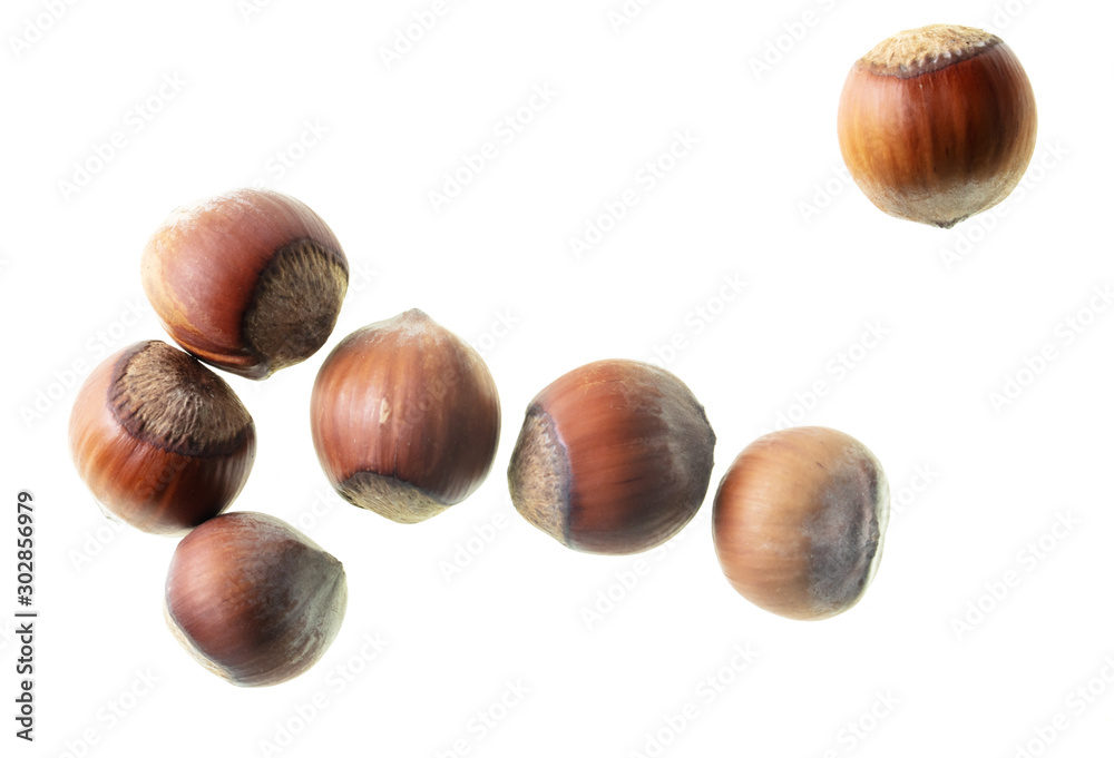 Hazelnuts nuts isolated on a white background Hazelnuts nuts isolated on a white background