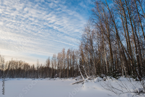 Winter evening. Frozen lake. In the background is a forest. © Niko