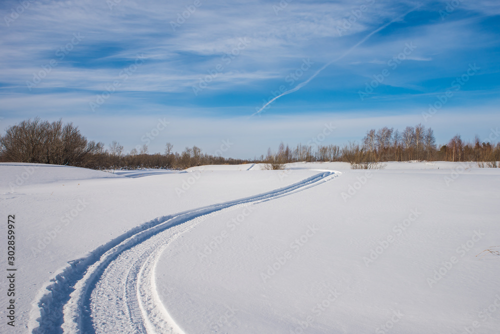 Snowmobile trail on a snowy field. Forest in the background.