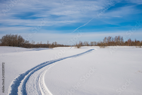 Wallpaper Mural Snowmobile trail on a snowy field. Forest in the background. Torontodigital.ca
