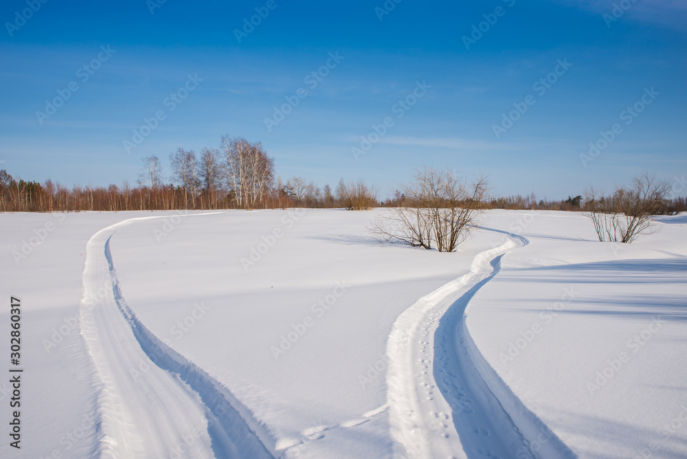Snowmobile trail on a snowy field. Forest in the background. Snowmobile trail on a snowy field. Forest in the background.