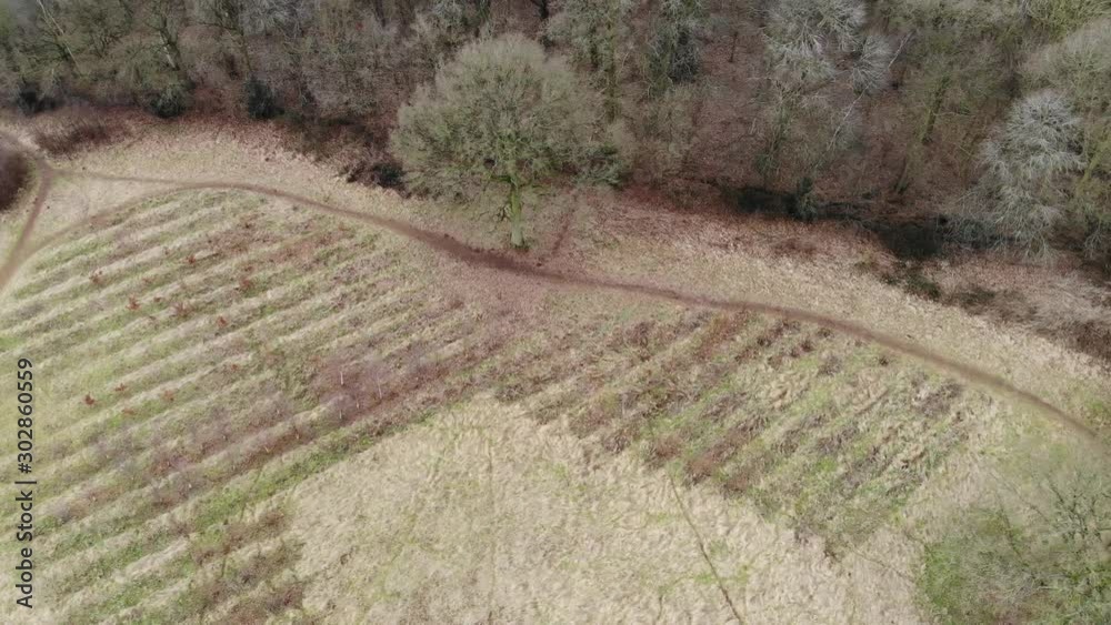 Winter Woodland Edge, Tracking Left To Right, England, Aerial View Winter Woodland Edge, Tracking Left To Right, England, Aerial View