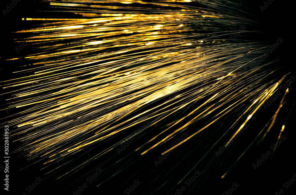 Gold plated luminous led filaments on black background - obrazy, fototapety, plakaty 